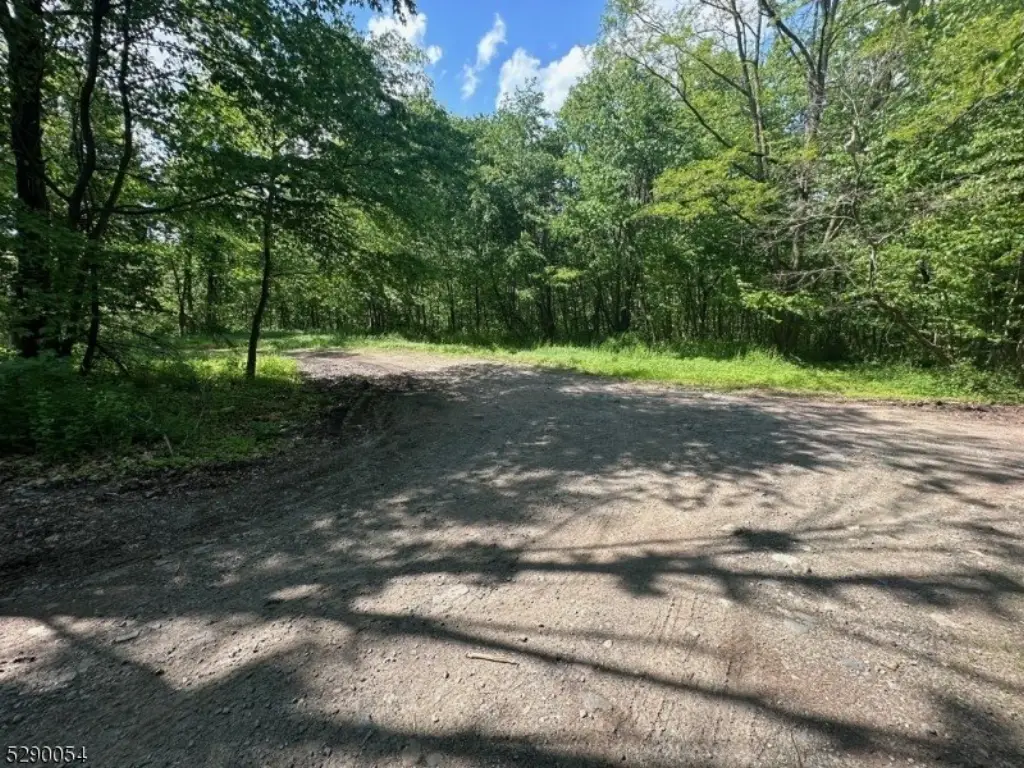 Picture 4