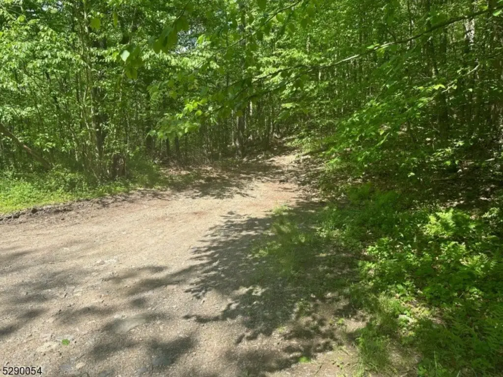 Picture 12