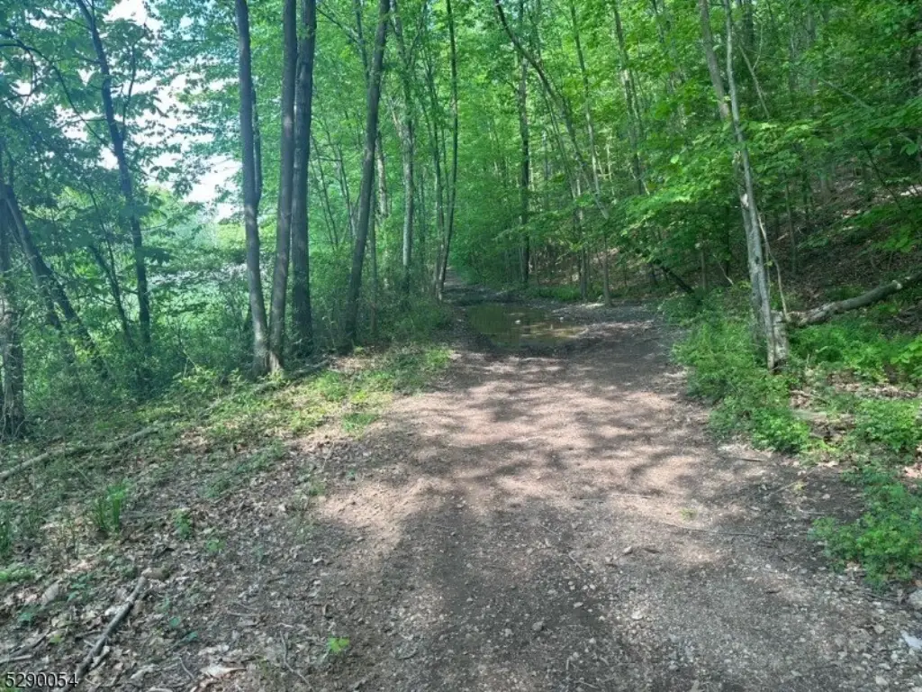 Picture 19