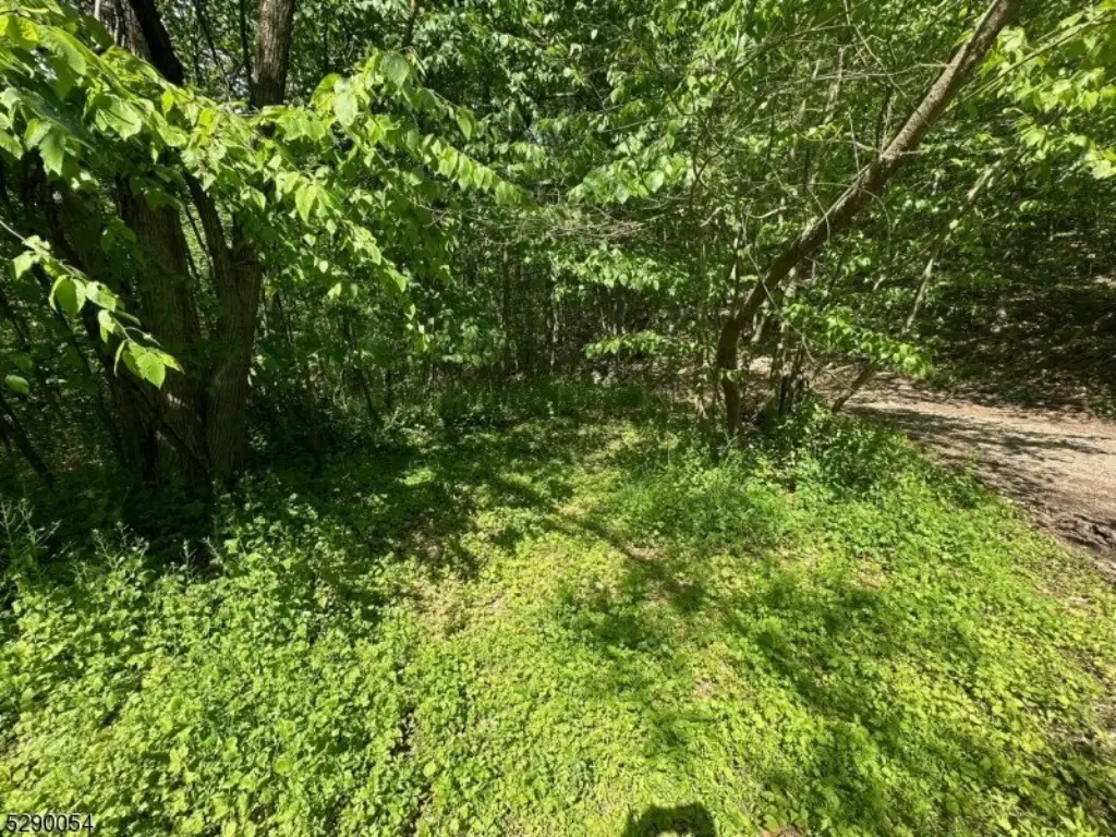 Picture 24