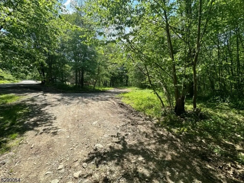 Picture 13