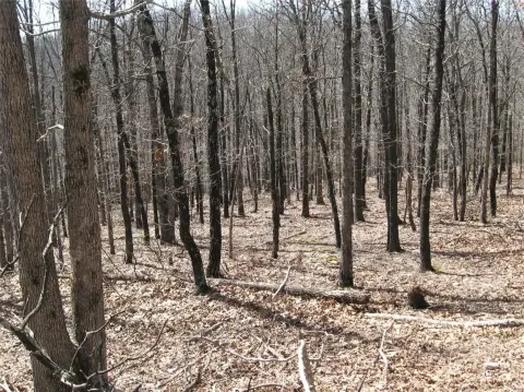 Wooded Hunting Land Near Fort