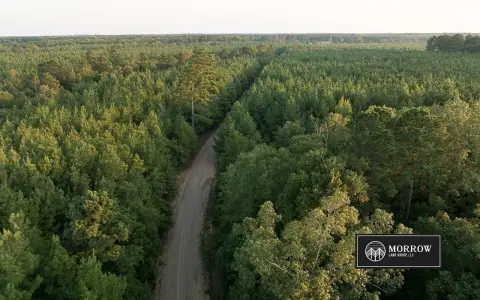 Pine Plantation Land
