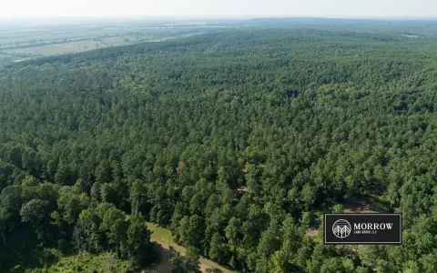 Hunting Land with Timber Stands