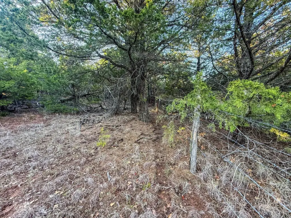 Picture 48