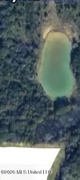 Specialty Property with Pond