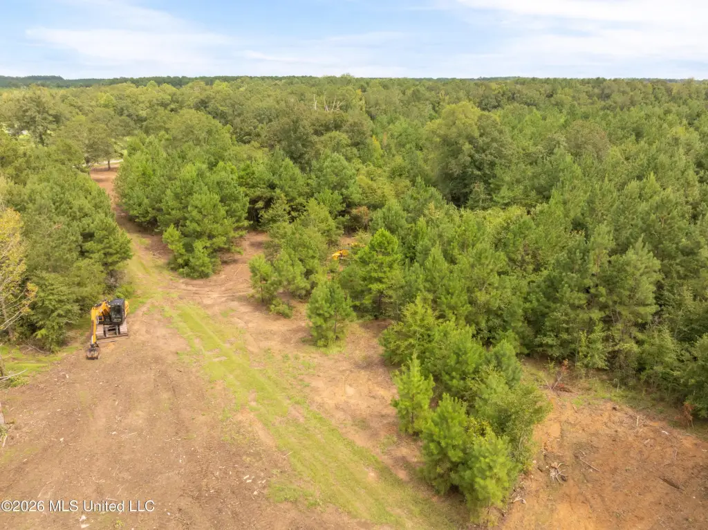 Picture 31