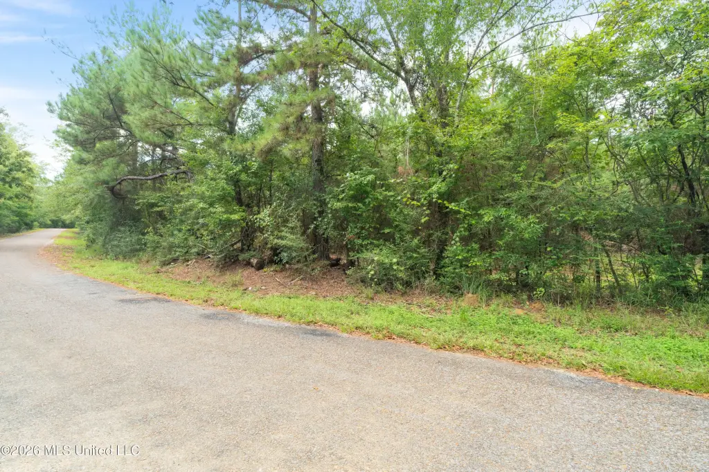 Picture 11