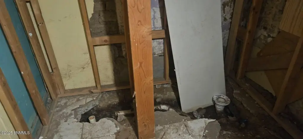 Picture 14