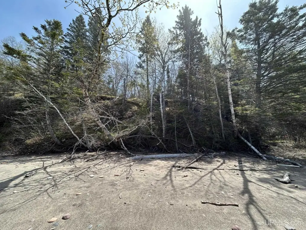 Picture 9