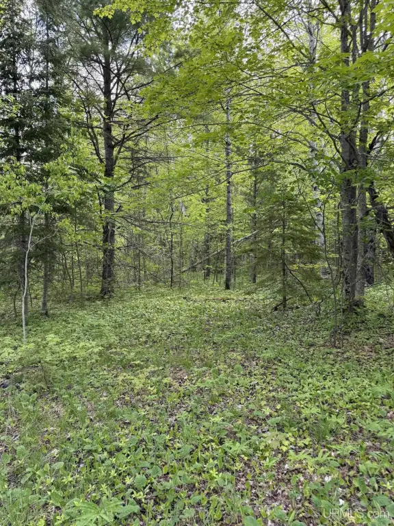 Picture 5