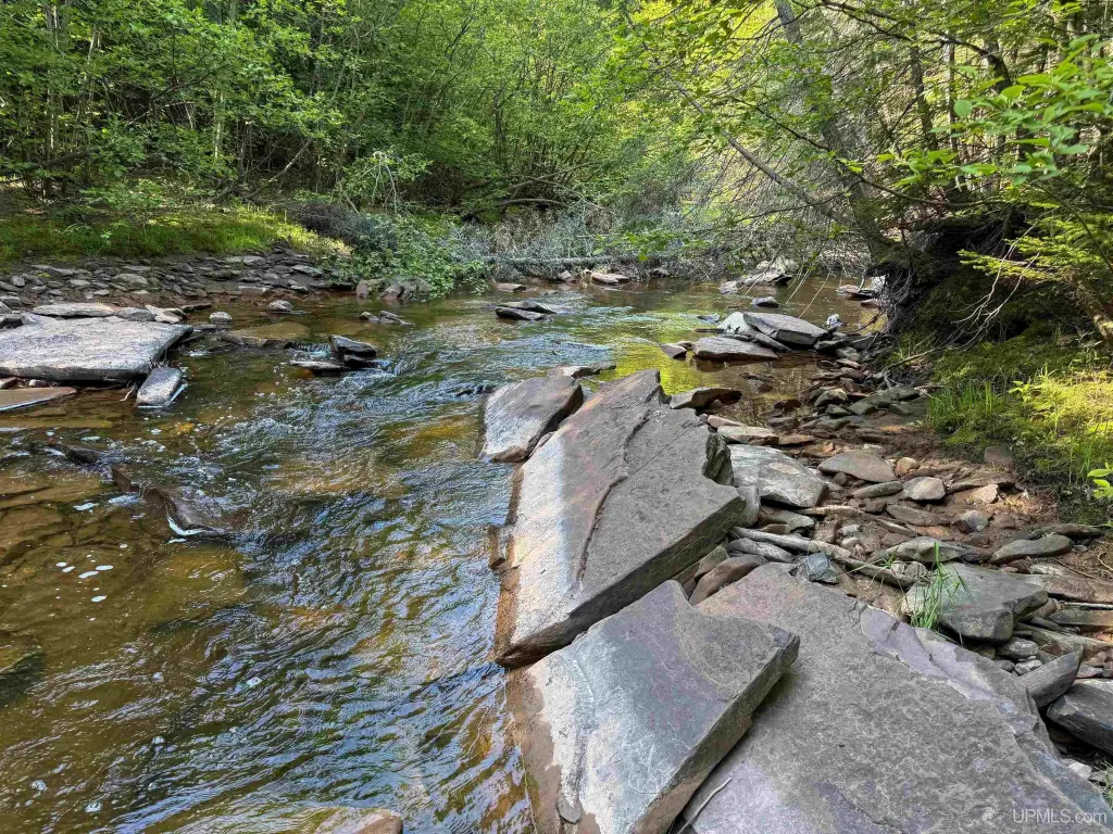 Picture 18