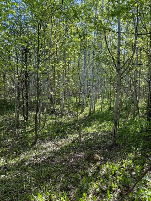 Picture 25