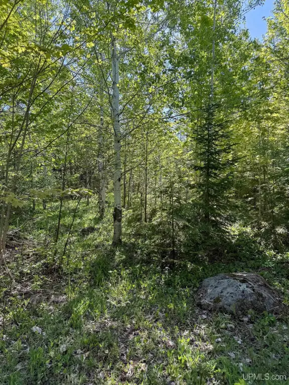 Picture 21