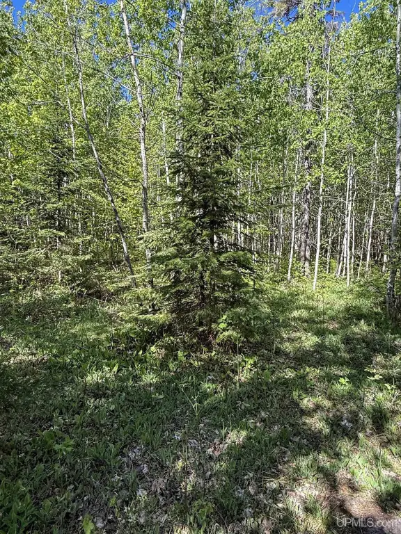Picture 19
