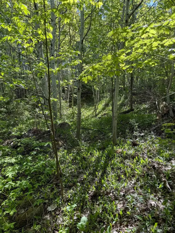 Picture 17