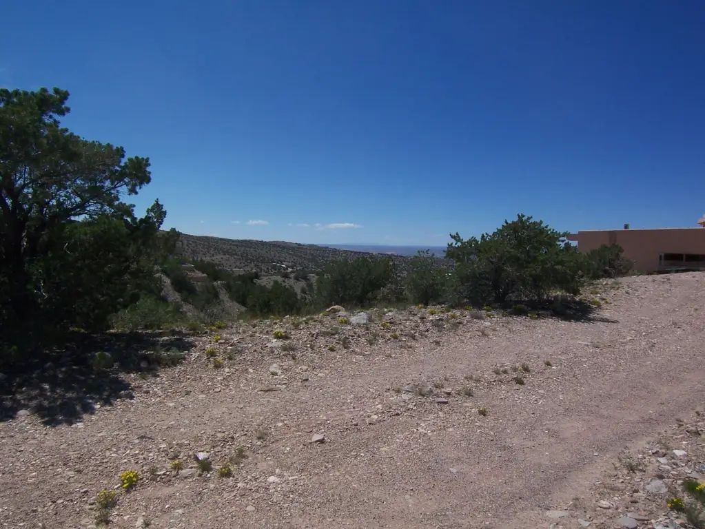 Picture 16
