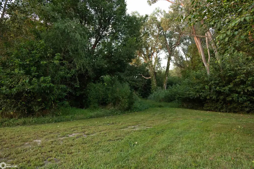 Picture 41