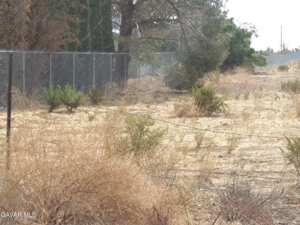 Picture 3