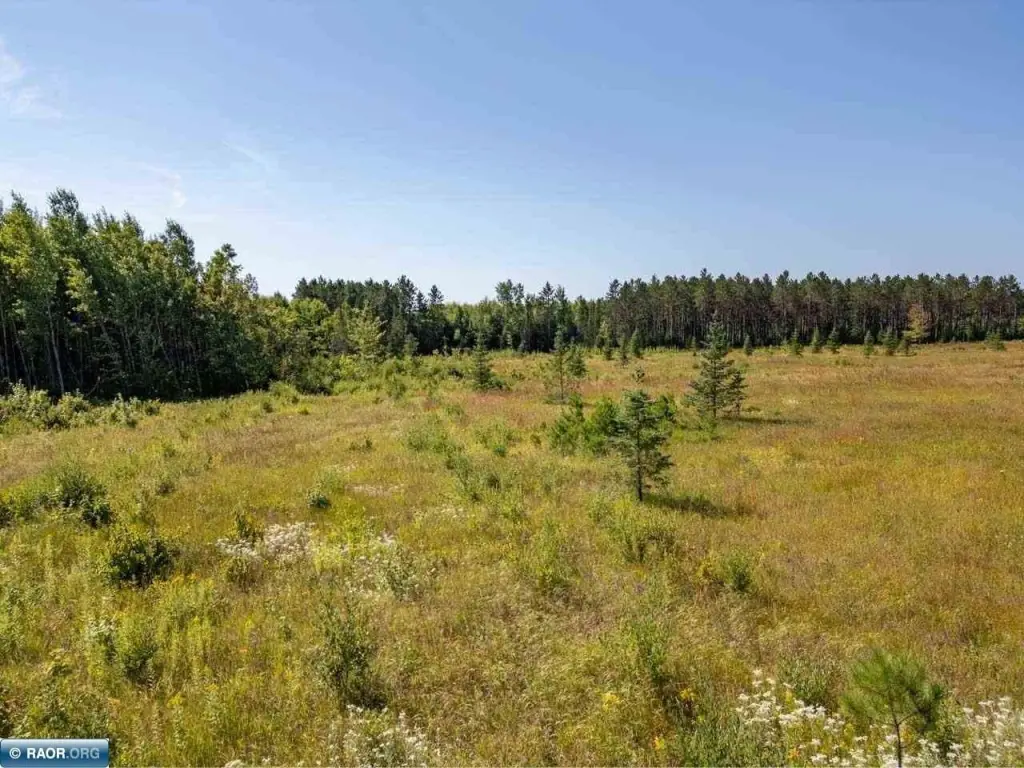 Picture 26