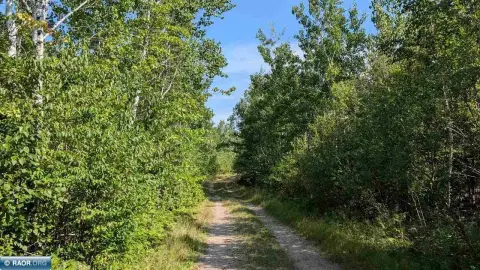 Wooded Hunting Land