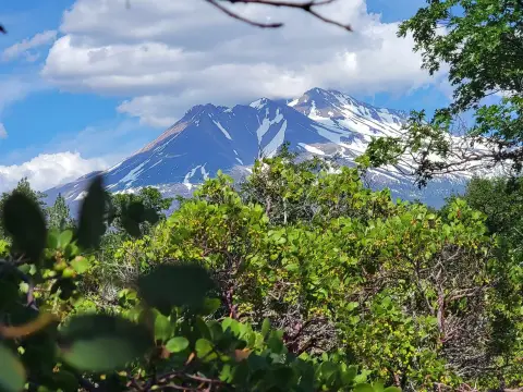 Weed, CA Acreage with Views