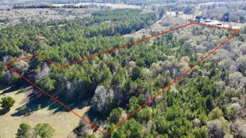 Wooded Acreage in Hughes Springs