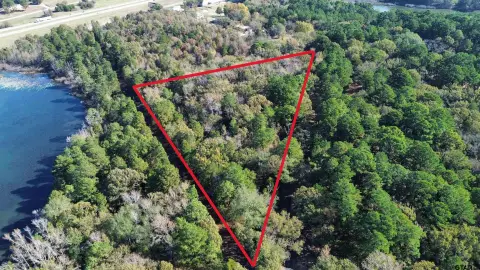 Heavily Wooded Acreage in Canton, TX