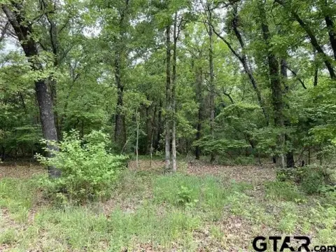 3-Acre Wooded Lot in Lindale