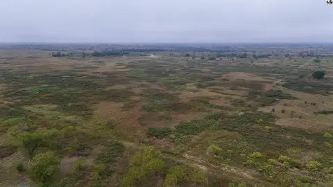 Native Grassland Agricultural Land