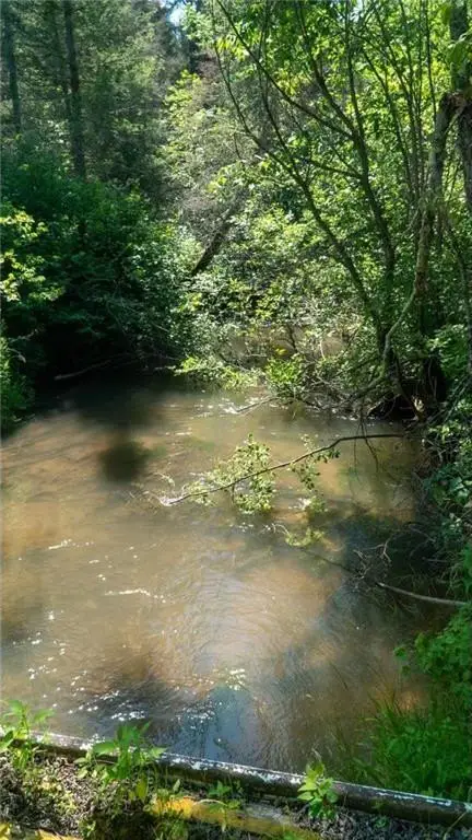 Picture 31