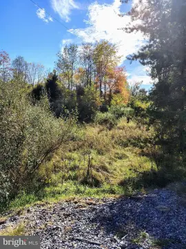 Waterfront Land in Berkeley Springs