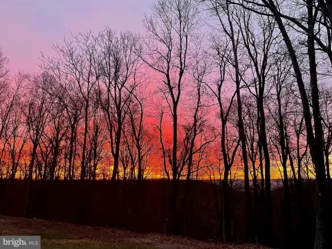 Wooded Acres Near Sleepy Creek