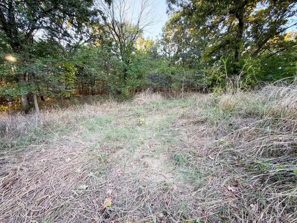 Picture 23