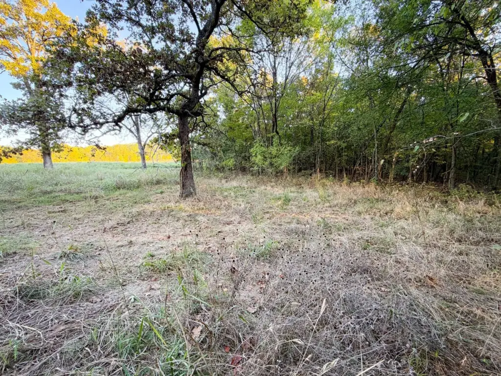 Picture 22