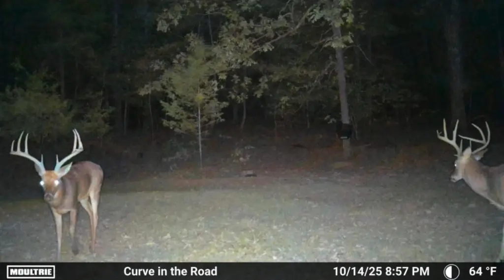Picture 16