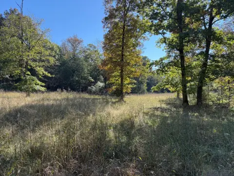 Hunting Land with Trail Network
