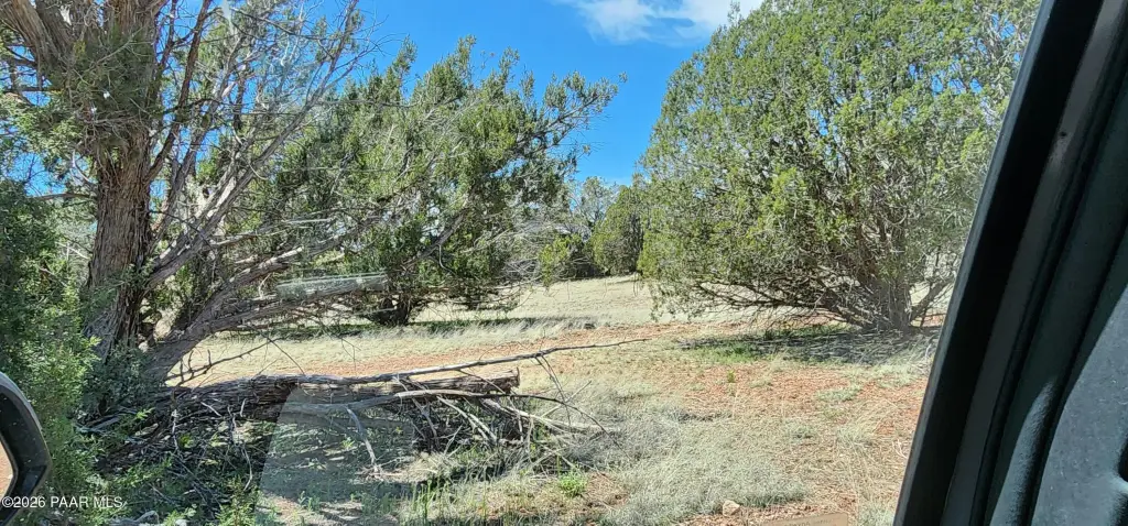 Picture 39