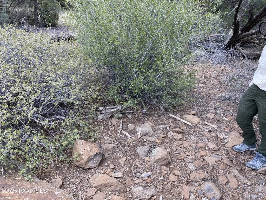 Picture 22
