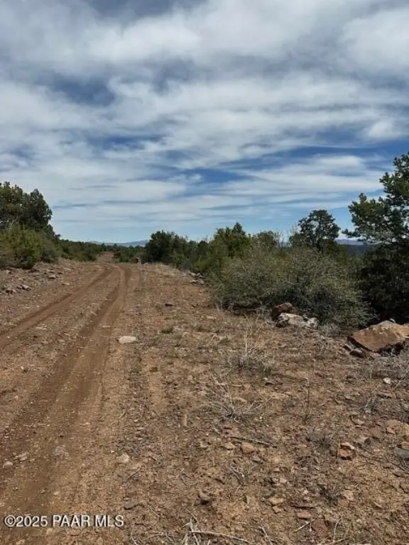 Picture 26