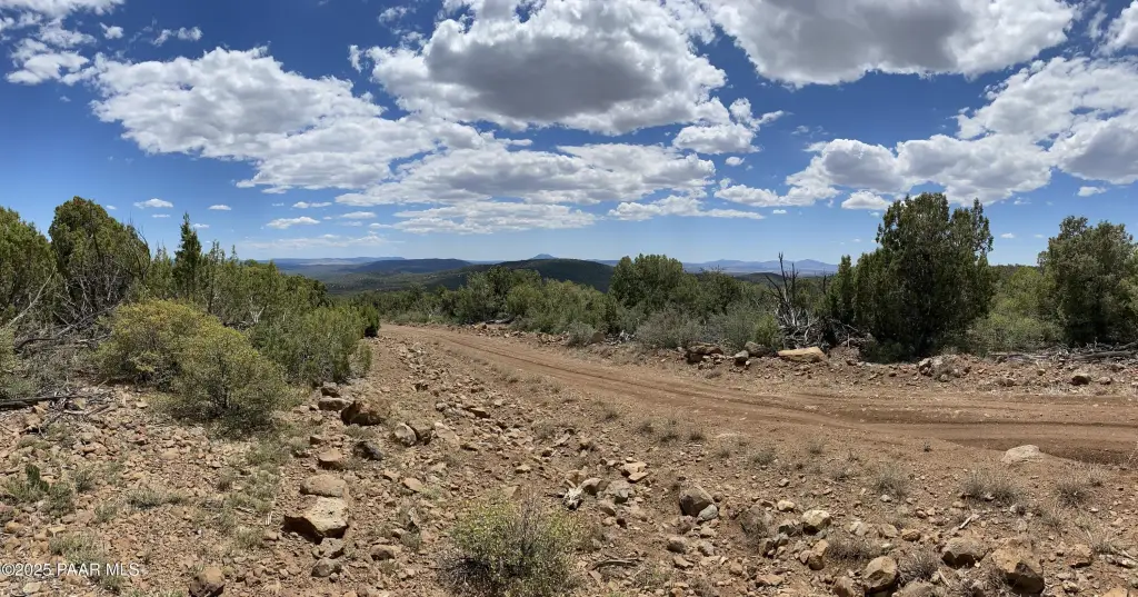 Picture 12