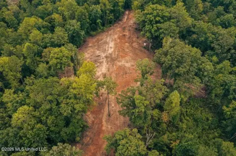 Private Hunting Land with Campsite