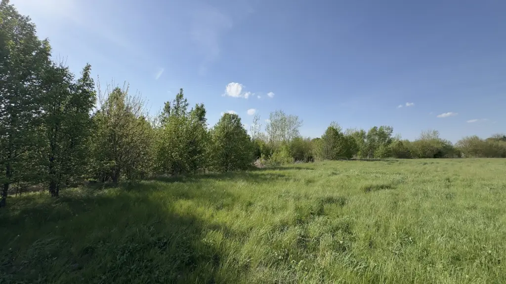 Picture 20