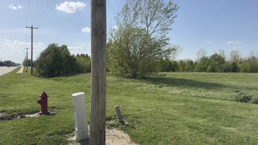 Picture 7
