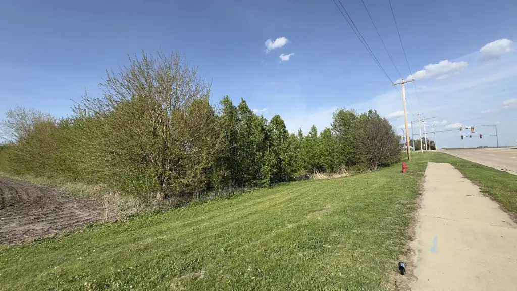 Picture 15