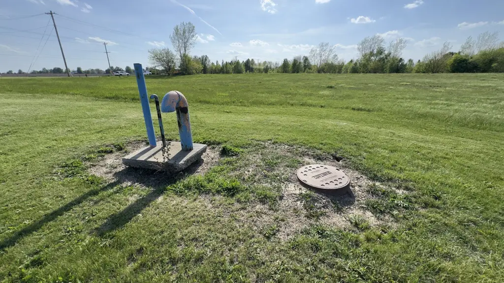 Picture 5