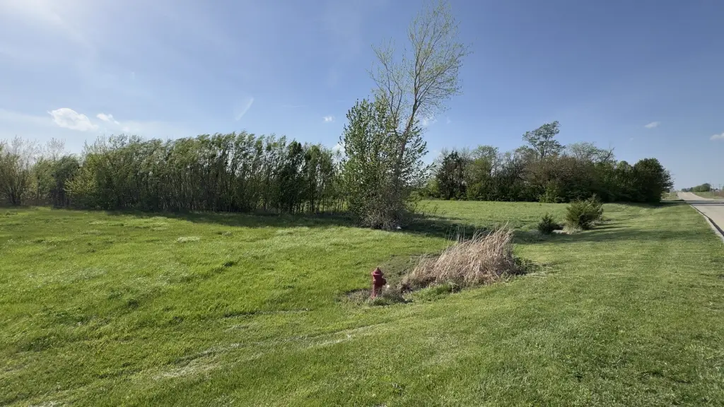 Picture 22