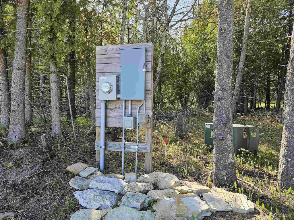 Picture 21