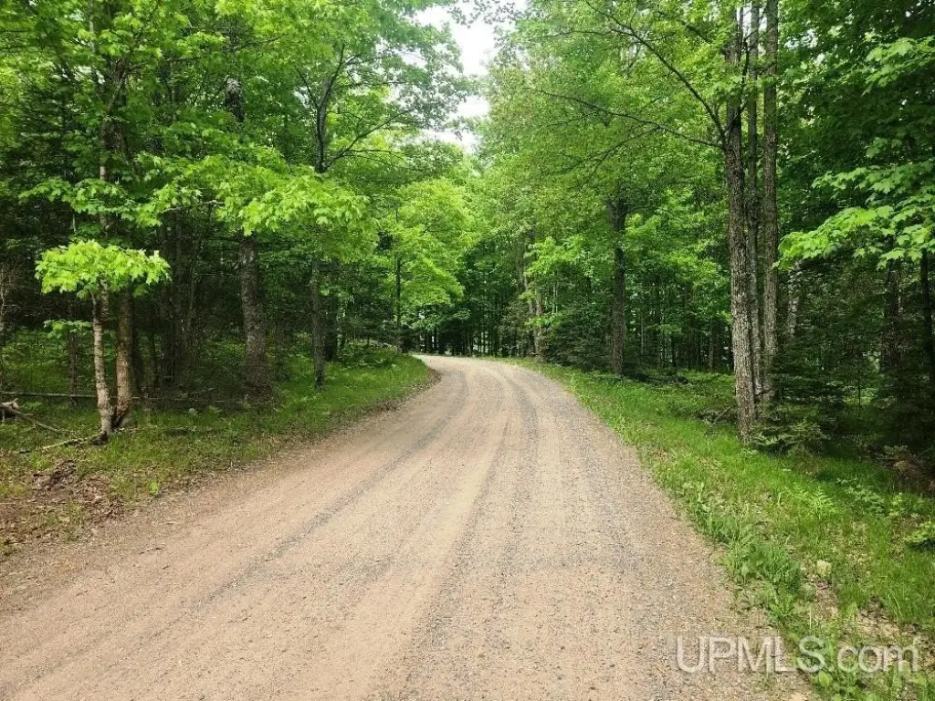 Picture 25