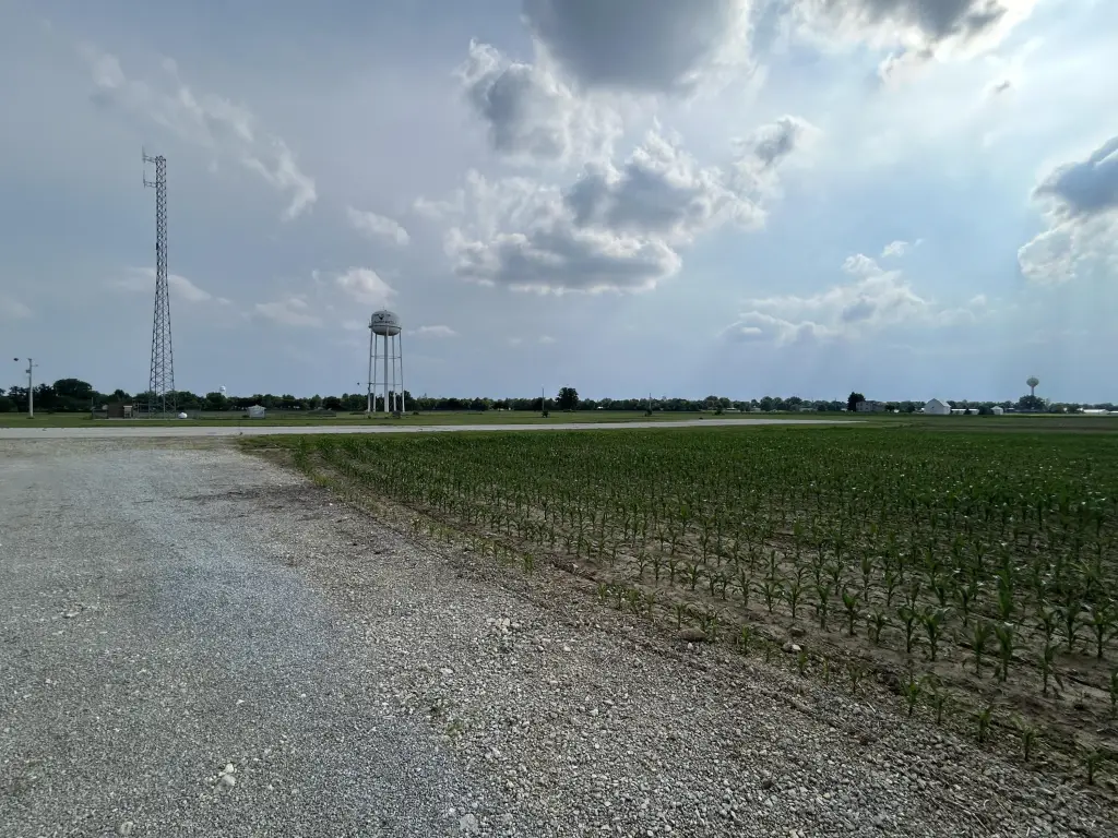 Picture 13